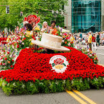 Local Events- Rose Festival