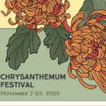 Local Events- Chrysanthemum Festival