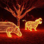 Local Events- BrewLights at the Oregon Zoo