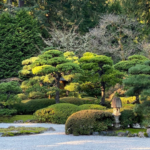 Local Events- O-Shogatsu Festival Japanese New Year