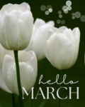 March Message from Linda