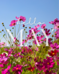 May Message From Linda